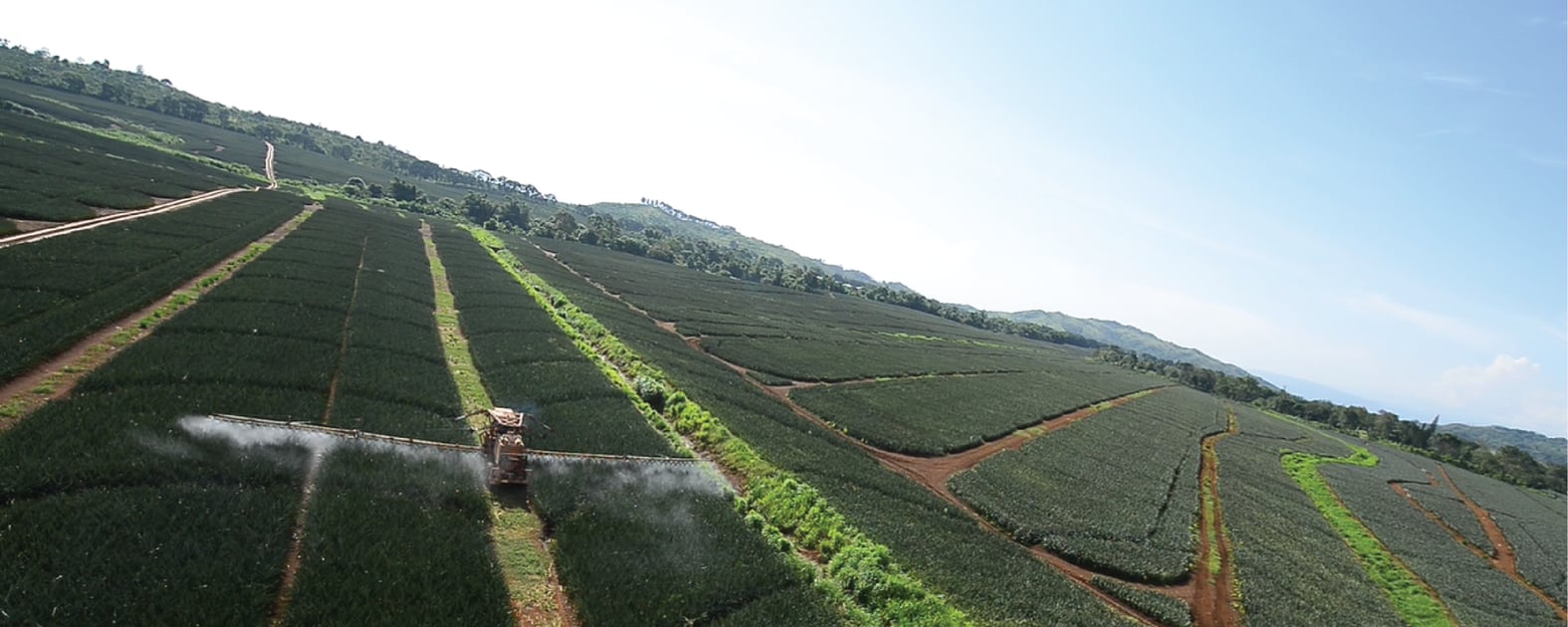 Del Monte Philippines Sustainability Our Journey